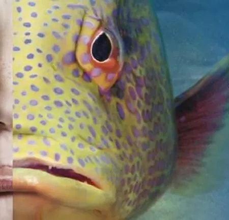 Conchiglie 2 * Cala Gonone